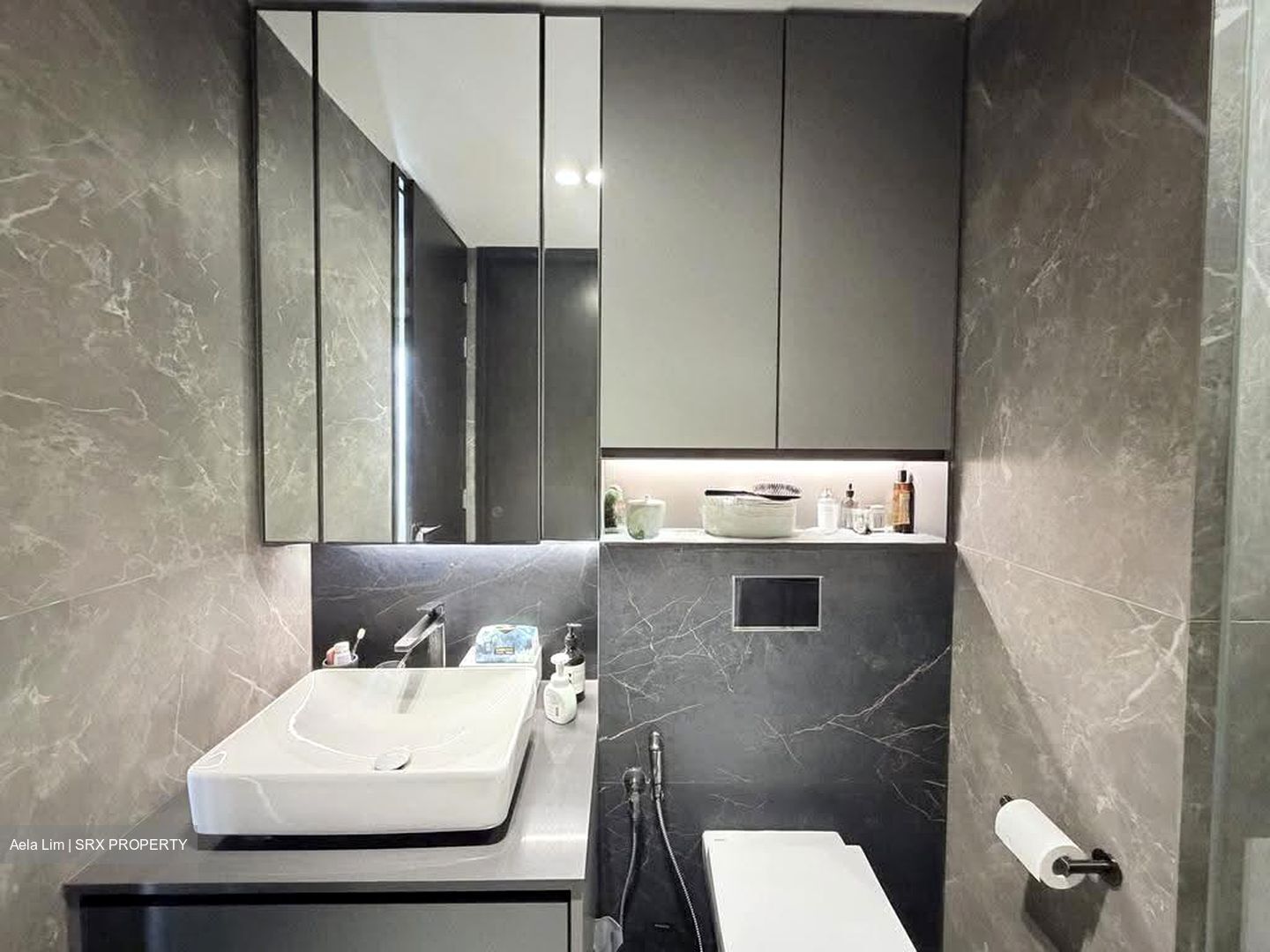Irwell Hill Residences (D9), Apartment #633433381